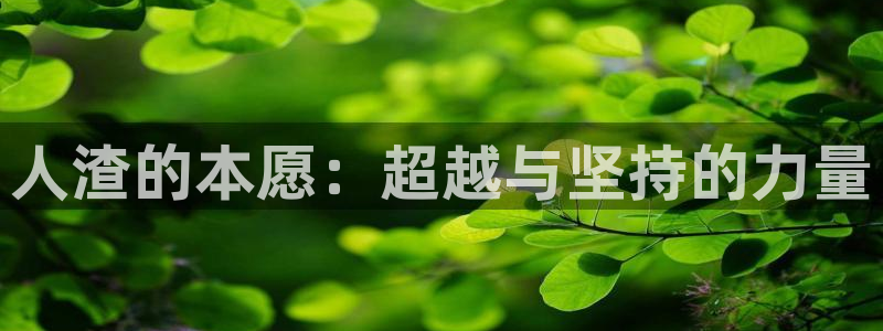 鲁邦三世vs名侦探柯南樱花动漫