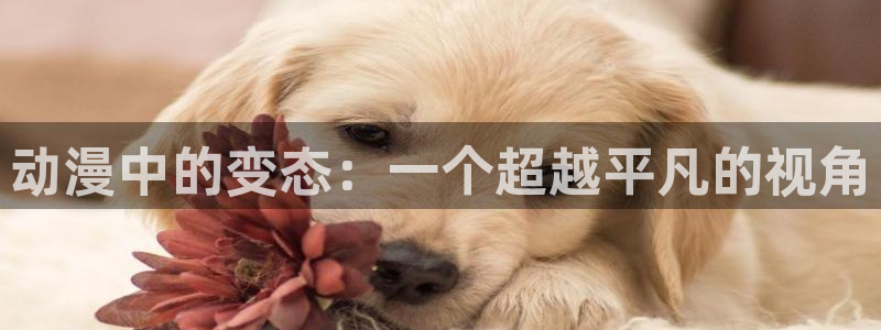 雾山五行在线观看樱花动漫
