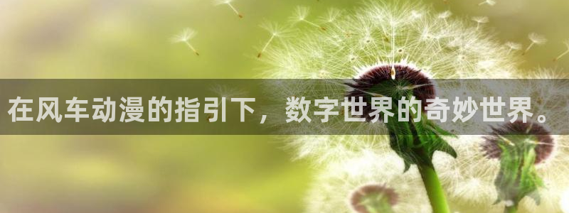 樱花动漫在线观看app：在风车动漫的指引下，数字世界的奇妙世界。