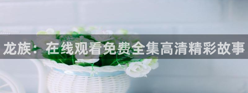 食戟之灵动漫樱花动漫：龙族：在线观看免费全集高清精彩故事