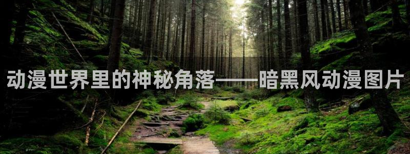 无颜樱花动漫：动漫世界里的神秘角落——暗黑风动漫图片