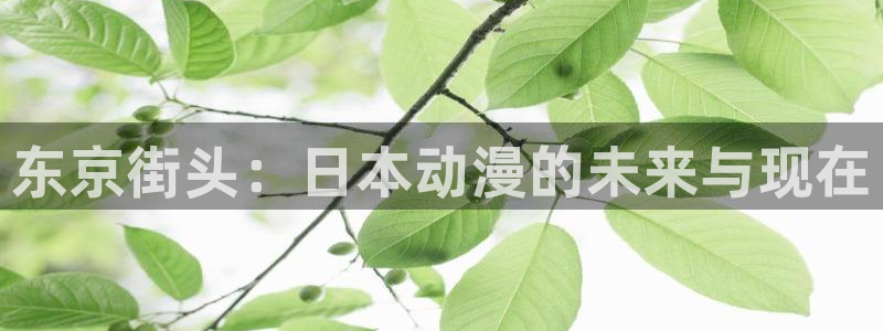 xxx樱花动漫：东京街头：日本动漫的未来与现在
