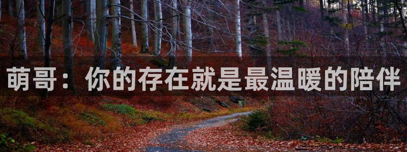 不良人第二季樱花动漫免费：萌哥：你的存在就是最温暖的陪伴