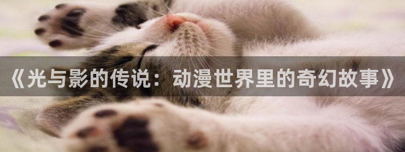 东万复仇者第二季樱花动漫：《光与影的传说：动漫世界里的奇幻故事》