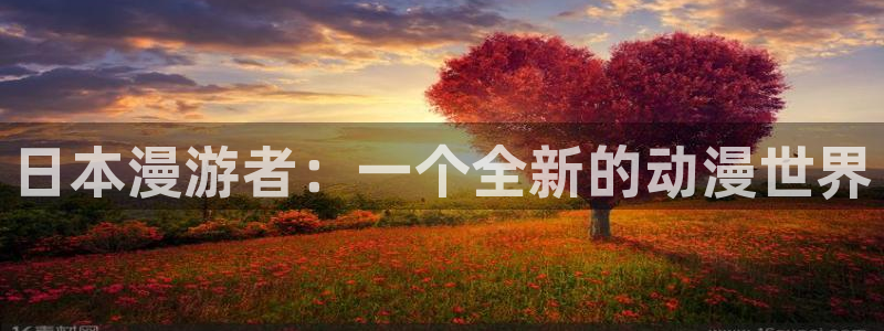 白色相簿免费观看樱花动漫：日本漫游者：一个全新的动漫世界