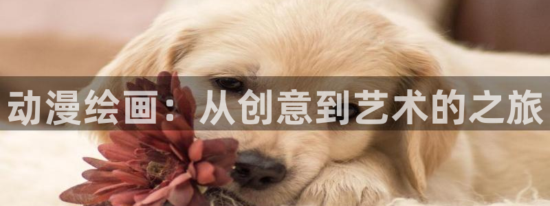 樱花动漫樱花动漫官网入口：动漫绘画：从创意到艺术的之旅
