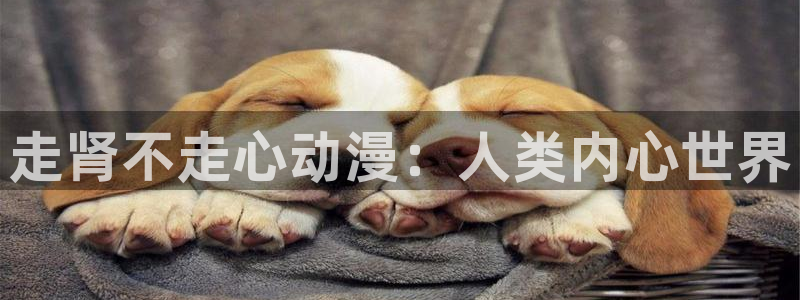 age樱花动漫：走肾不走心动漫：人类内心世界