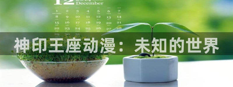 樱花动漫网站入口：神印王座动漫：未知的世界