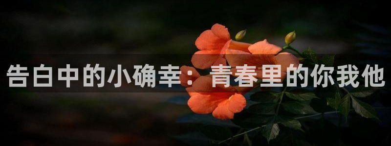 樱花动漫中文版：告白中的小确幸：青春里的你我他