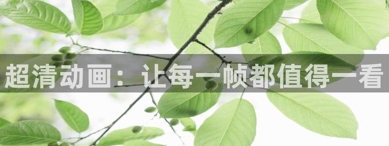 出包王女第一季樱花动漫：超清动画：让每一帧都值得一看