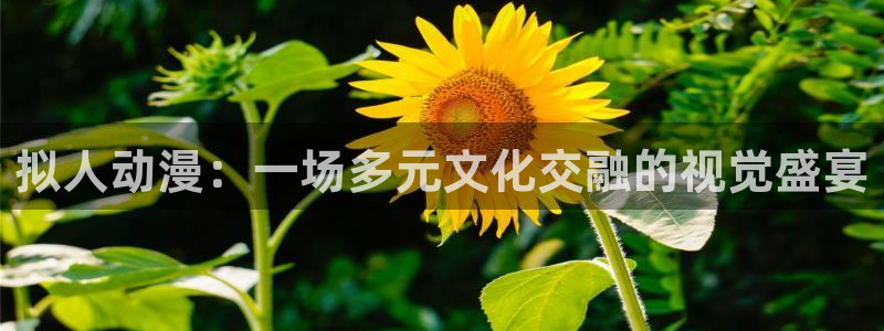 樱花动漫无删减在线播放全集：拟人动漫：一场多元文化交融的视觉盛宴