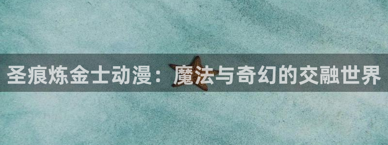 排球少年第1季免费观看樱花动漫：圣痕炼金士动漫：魔法与奇幻的交融世界
