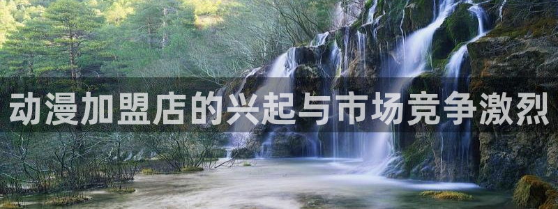 樱花动漫1~6全集动漫免费观看：动漫加盟店的兴起与市场竞争激烈