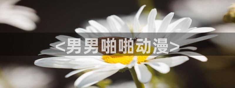 美食猎人中文版樱花动漫：<男男啪啪动漫>