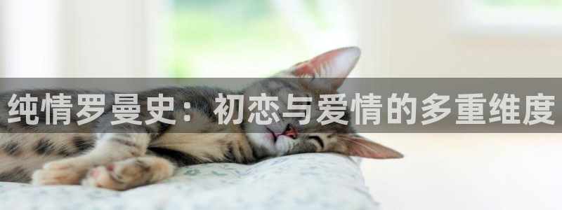 樱花动漫.：纯情罗曼史：初恋与爱情的多重维度