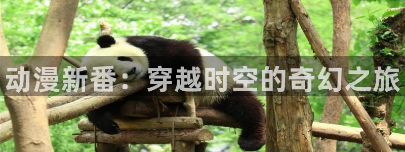 樱花动漫专注动漫：动漫新番：穿越时空的奇幻之旅