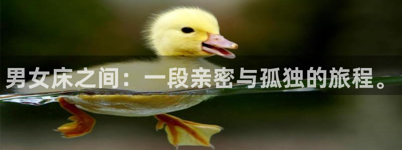 樱花动漫网免费看