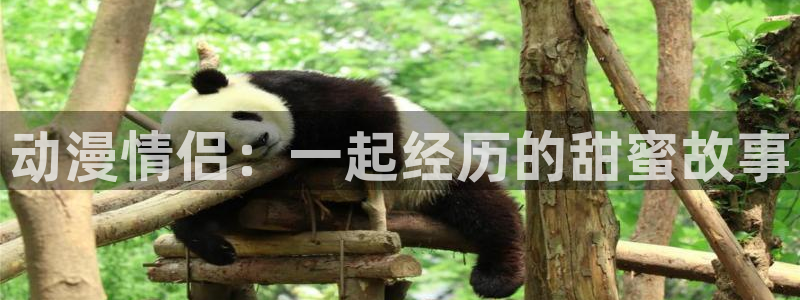 樱花动漫网站官网在线观看