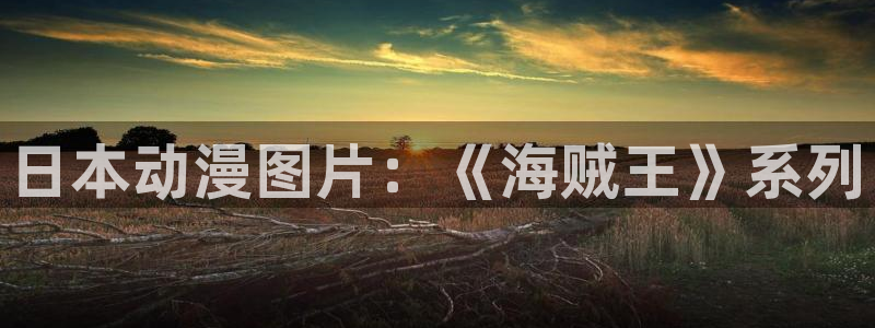 我推的孩子动漫樱花动漫