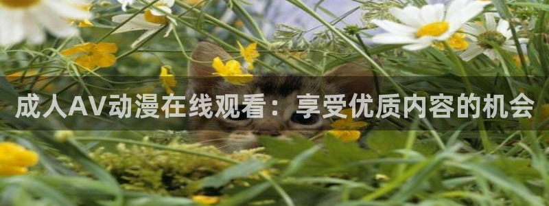 哥布林杀手第二季樱花动漫