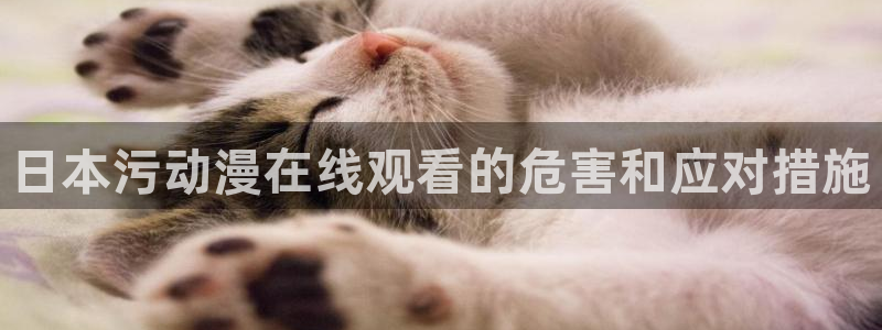 钢之炼金术师樱花动漫