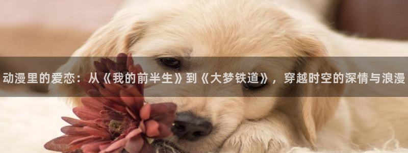 樱花动漫免费看动漫：动漫里的爱恋：从《我的前半生》到《大梦铁道》，穿越时空的深情与浪漫