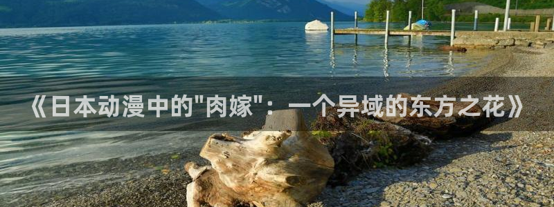 樱花动漫官网imomoe6版专注动漫：《日本动漫中的\