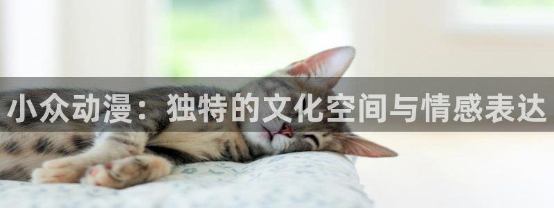 玲音樱花动漫：小众动漫：独特的文化空间与情感表达