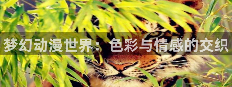 樱花动漫正版官网入口：梦幻动漫世界：色彩与情感的交织