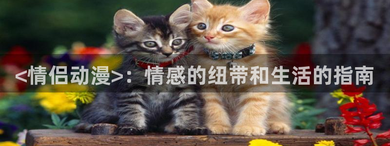 后宫露营动漫2季樱花动漫：<情侣动漫>：情感的纽带和生活的指南